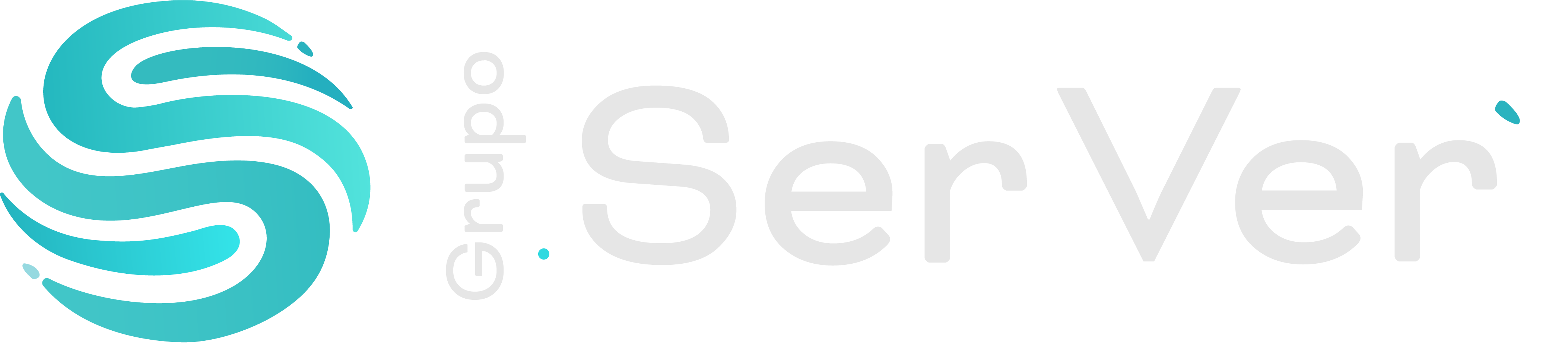Grupo SerVer S.A.S.